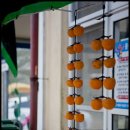우산캠핑장