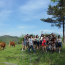 전북제일고등학교 이미지