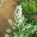 오늘더예뻐 이미지