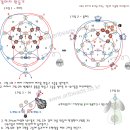 큐티퍼피 이미지