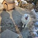 대명노르웨이숲 이미지