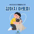 하남동물병원 이미지