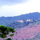 도이(doi)