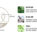 그루비즈 네이버블로그