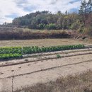 양호농장 이미지