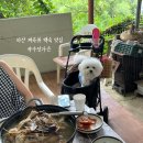 약수장 이미지
