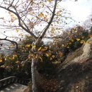 정인관 | 오인교의 전라도누정기행-장성 갈재 누정, 위령원 누정(葦嶺院樓亭)-4