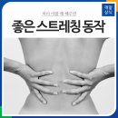 킹스트레칭 이미지