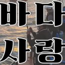 안면도바다사랑낚시 이미지