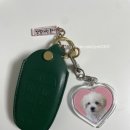 댕댕이냥 이미지