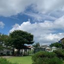 예쁘다보육원 | 9월 둘째 주 미리 정산 +선글라스 구매 후기