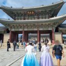 서울 경복궁 한복 대여 후기: 도령아씨한복에서 인생샷 건진 날!