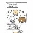 섬반지
