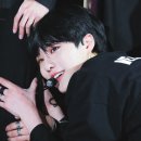 어블리 이미지