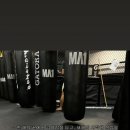 SBoxingGYM 네이버블로그