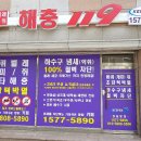 가수원로-19 이미지