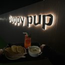 ［성신여대역 애견카페&amp;펍 / 퍼피펍 puppypub］