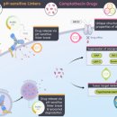 주식회사 피노 이미지