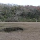 수망리교차로 2 이미지