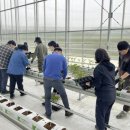 영농농장 이미지