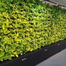 (주)그린퓨어 이미지