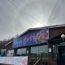 봉산암반수송어회 | [경북 김천] 입안에서 톡톡 터지는 신선함! ‘봉산암반수 송어회’ 솔직 후기(내돈내산)