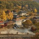 만연사 동종 이미지