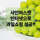 주식회사 푸른 | 한 알 먹자마자 사진 찍은 이유? 푸른뜰 샤인머스켓