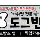 도그반하다 이미지