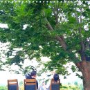 PK대치학원 | 대치PK기숙학원 기숙형윈터스쿨 최상위권 도약을 위한 힘찬 시작점!