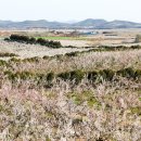 해남땅끝호텔 이미지