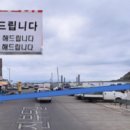 회뜨는 선장님