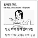 말린 표고버섯 빨리 불리기 이미지