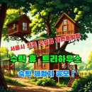 트리하우스 티스토리