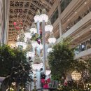 용인충전소 | 용인 대형 카페 포레스트아웃팅스 용인점 크리스마스 트리 카페 추천 솔직후기 (내돈내먹)🎄🎁