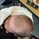 부뉴 | [육아일기] 앵두의 생후 1달