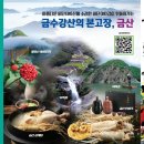 금산원조 김정이삼계탕 이미지