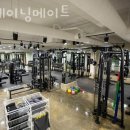 트레이닝 메이트 이미지