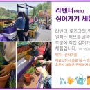 튜울립 꽃 주머니 만들기 이미지