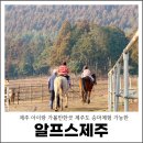 성읍리-24 | 제주 아이랑 가볼만한곳 제주도 승마체험 가능한 알프스제주