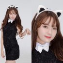 파티 이미지