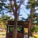 솔바람뜰(국립현대미술관) | 과천 국립 현대 미술관- 솔바람 야외공원에서 봄바람 쐬고 왔어요^^