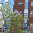 협성대학교 웨슬리신학대학원 이미지