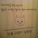 청담아이윌동물병원 이미지