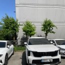 정지뜰주유소 | 군포에서 잘 해주는 노브러쉬, 노터치 자동 세차장 - 브라보 카워시 군포점
