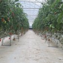 선경농장 이미지