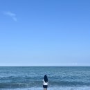 관성솔밭해변 이미지