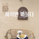 마서면머물다