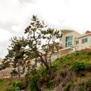 아라펜션 이미지