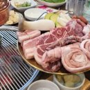 금되야지 이미지